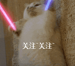 狗狗多大開始訓練比較好_狗狗多大開始訓練好呢_狗狗多大開始訓練最好