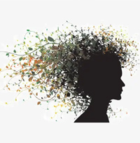 Hall of pets寵物網(wǎng)